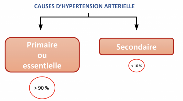 LEXIPatho: Hypertension artérielle de l'adulte